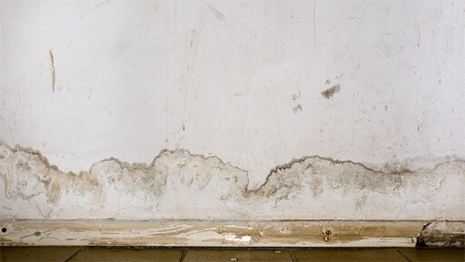 Your Trusted Experts for Plumbing Leaks in Your Home in Pittsburgh